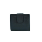 CARTERA NEGRA