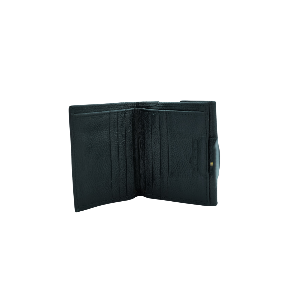 CARTERA NEGRA